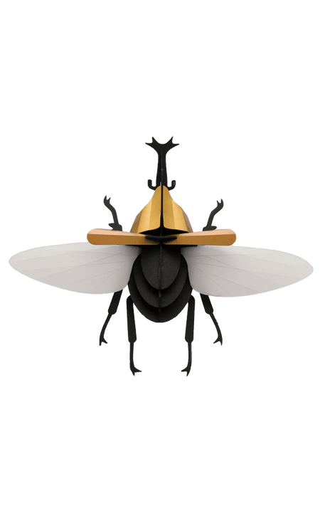 Paper Rhinoceros Beetle craft by Assembli featuring detailed paper construction and vibrant colors on a white background.