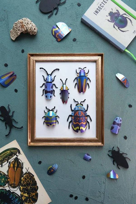 Paper Beetle Collection - Papier Plume