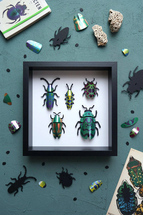 Paper Beetle Collection - Papier Plume
