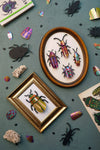 Paper Beetle Collection - Papier Plume