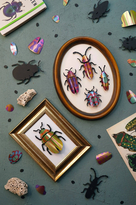 Paper Beetle Collection - Papier Plume