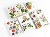 Pepin Press - Correspondance Sets - Flowers - Papier Plume